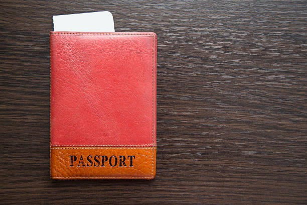 Nos modèles préférés de protège passeport personnalisé pour 2023 ?